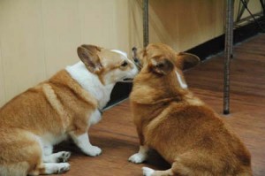 1380944380-2790023361