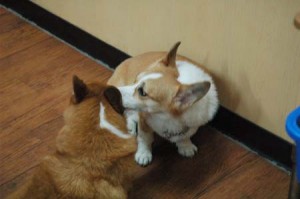 1380944380-4108254375