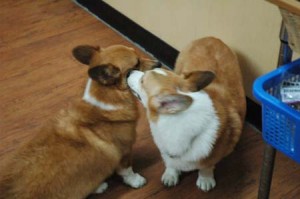 1380944380-989004712