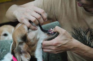 1380944383-2266853035