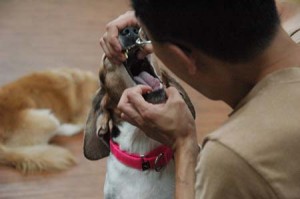 1380944384-3334707986