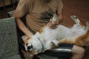 1380944384-3370693385