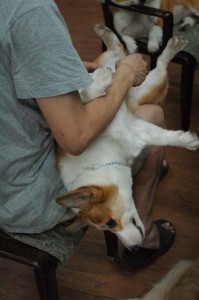 1380944385-4102475106