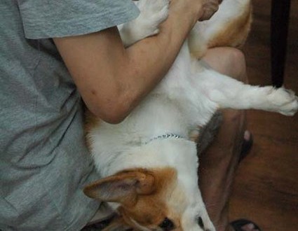 1380944385-4102475106