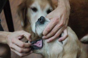 1380944385-4118691103