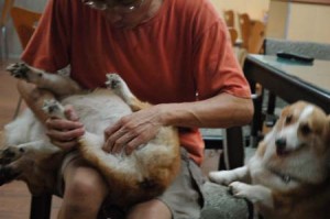 1380944386-3349041603