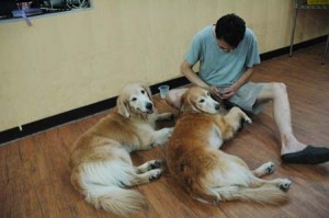 1380944386-486588762