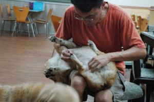 1380944387-2362324980