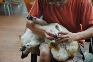 1380944388-1962525455