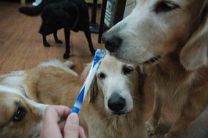 1380944388-3121575287