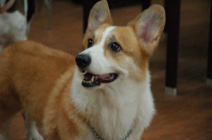 1380944389-2416526063