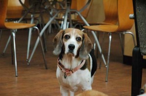 1380944389-760898722