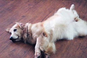 1380944390-735726154