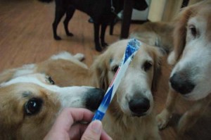 1380944390-961513916