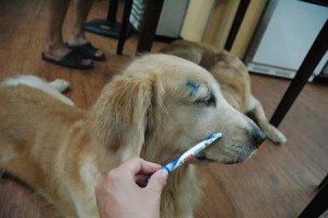 1380944391-3371776738