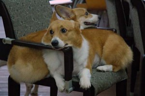 1380944392-2432751710