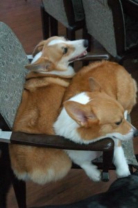 1380944392-3231269408