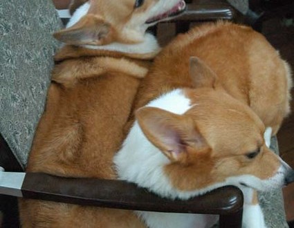 1380944392-3231269408