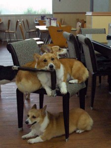 1380944393-118454710