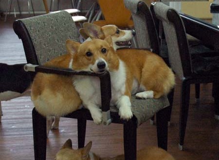 1380944393-118454710