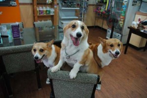 1380944393-2124299376