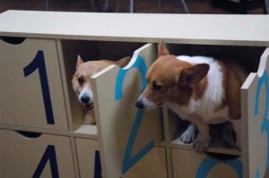 1380944394-2258244082