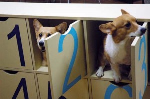 1380944394-2456956585