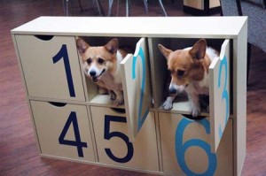 1380944395-296678753