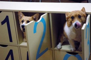 1380944395-3723099353