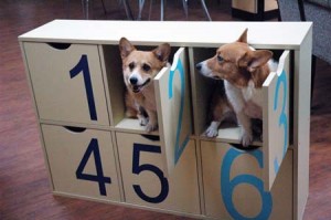 1380944396-255897679