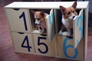 1380944396-2847628087