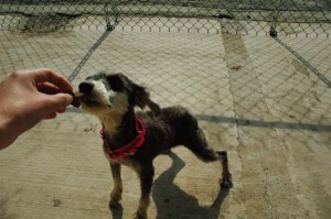 1380944407-888385444