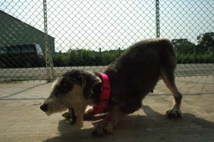 1380944408-1162312598