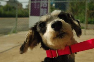 1380944409-3505752779