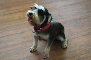 1380944410-2155312829