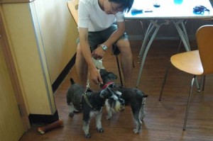 1380944410-3425819938