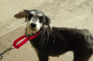 1380944410-3692415117