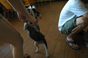 1380944411-3968054086