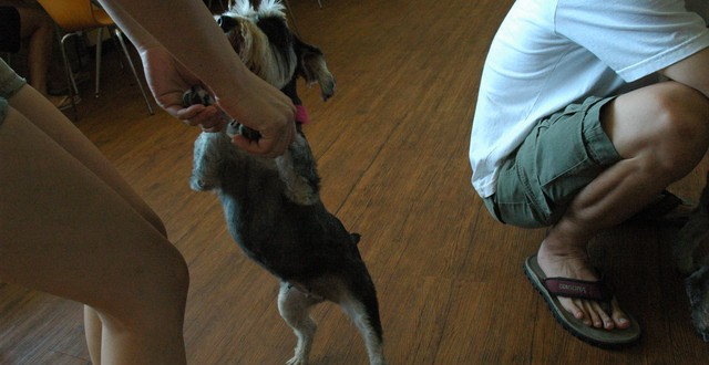 1380944411-3968054086