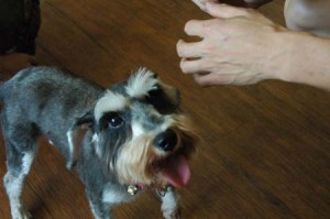 1380944412-3514039220