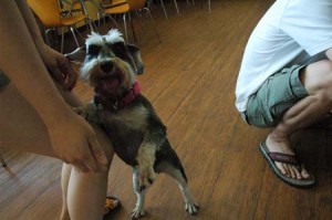 1380944412-891963113