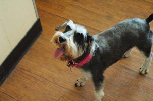 1380944413-1291588427