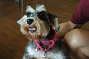 1380944413-631465259