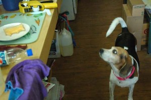 1380944430-2569453876