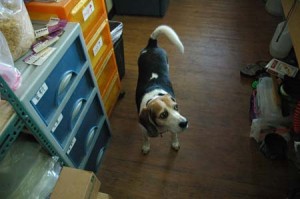 1380944430-3160165173