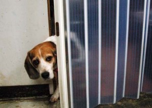 1380944432-972011687