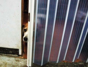 1380944433-3287310299