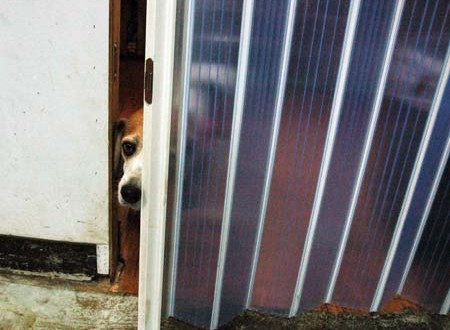 1380944433-3287310299