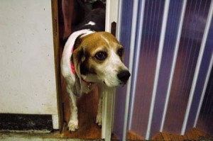 1380944433-3537708873