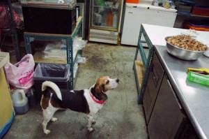 1380944434-2654386470